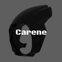 Carene